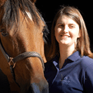 equine sports medicine – About Cave Creek Equine™