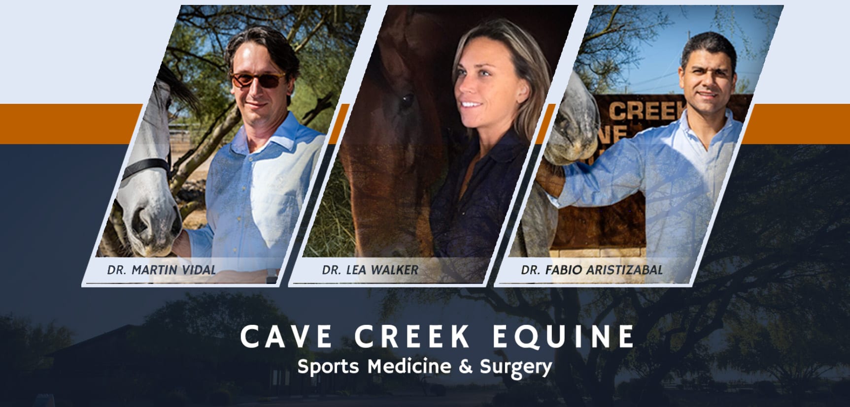 Cave Creek Equine veterinary team.