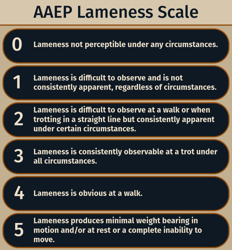 AAEP Lameness Scale