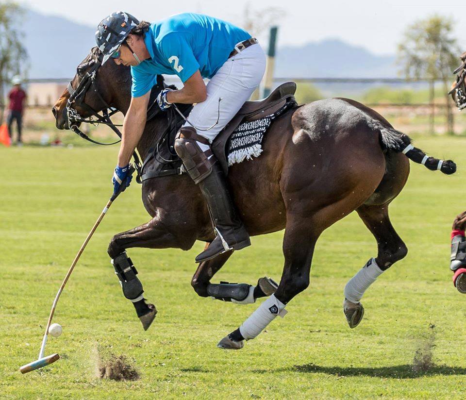 Polo Pony