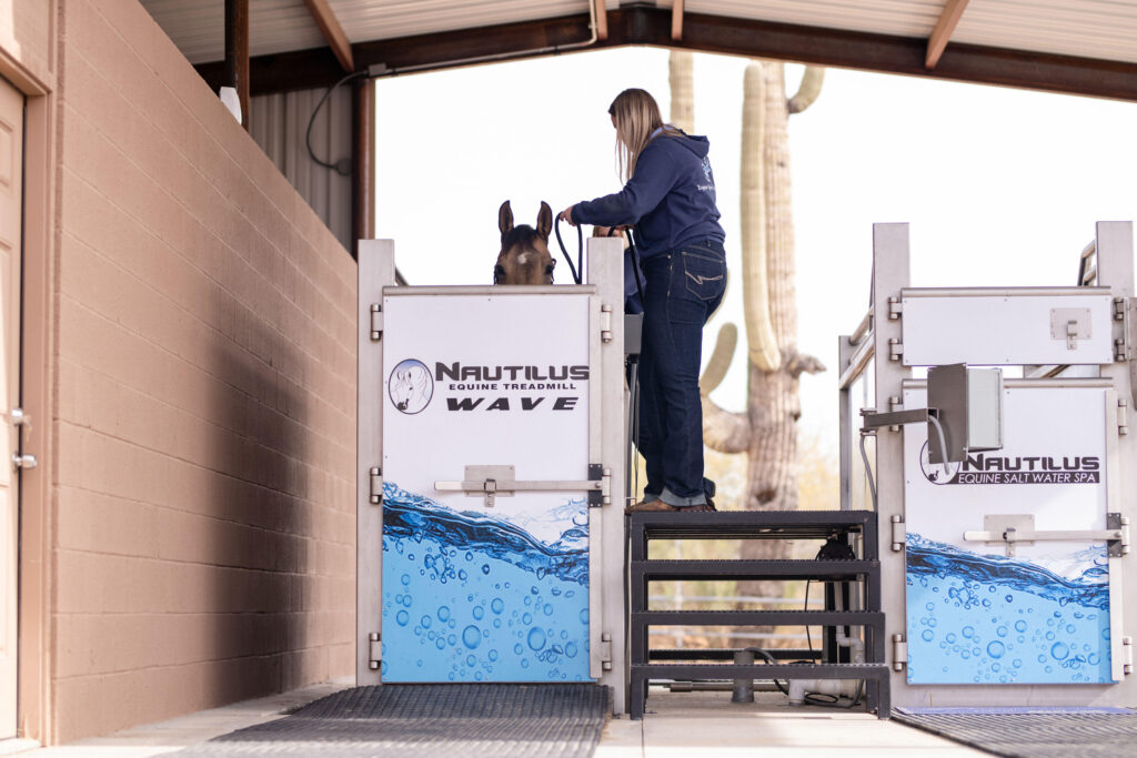 Woman leading horse into Nautilus Wave treadmill.