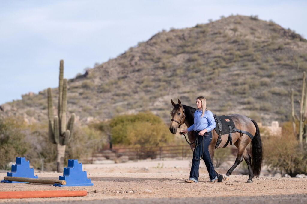 Equine Sports Medicine, Arizona Rehabilitation Division