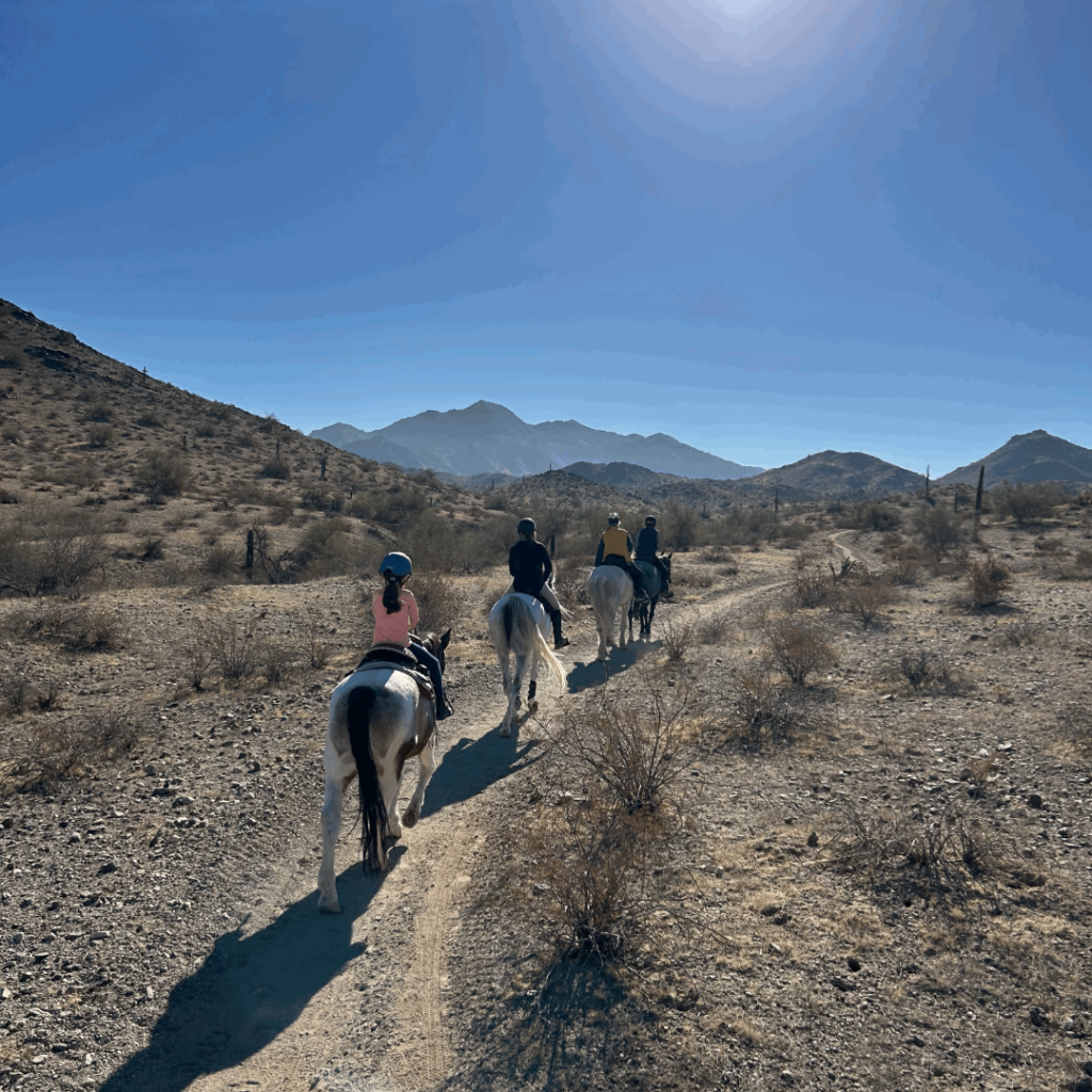 Dr Walker riding trails