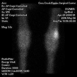 Here's an 8-word alt tag for the image: Equine carpus x-ray, showing AP and lateral views.