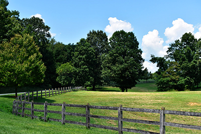 Wooden fence around grassy field with trees.