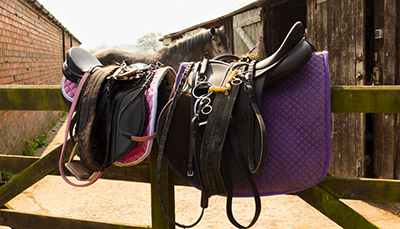 Two saddles hanging on a fence.