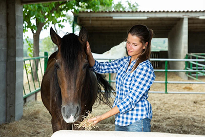 Woman feeding hay to brown horse.