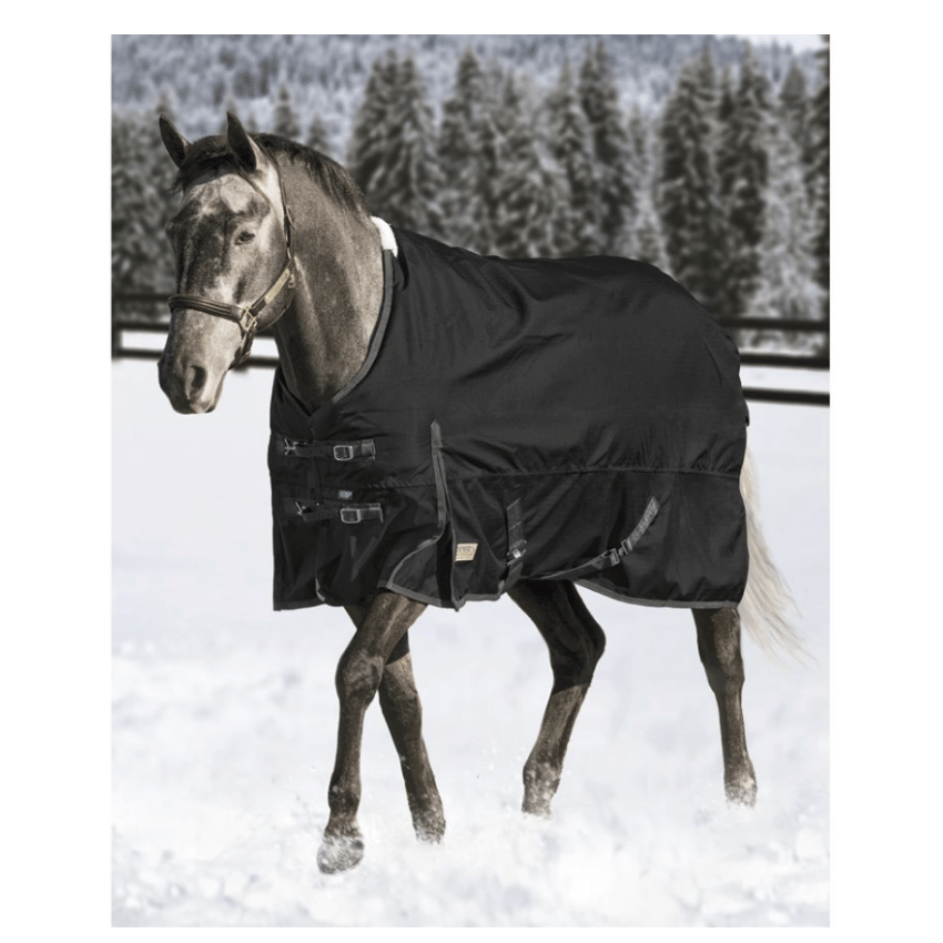 Black horse winter turnout blanket.