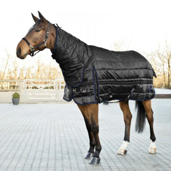 Black quilted horse stable rug with neck cover.