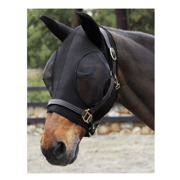 Horse wearing black fly mask with mesh.