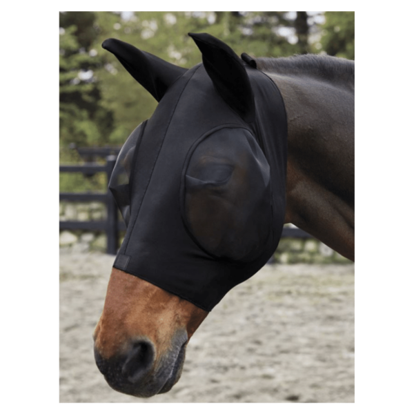 Black mesh fly mask on horse.