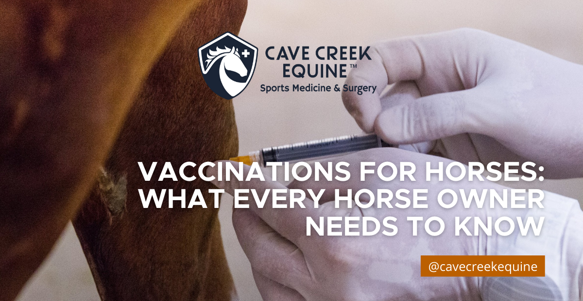 – Vaccinations for Horses: What Every Horse Owner Needs to Know