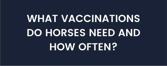 – Vaccinations for Horses: What Every Horse Owner Needs to Know