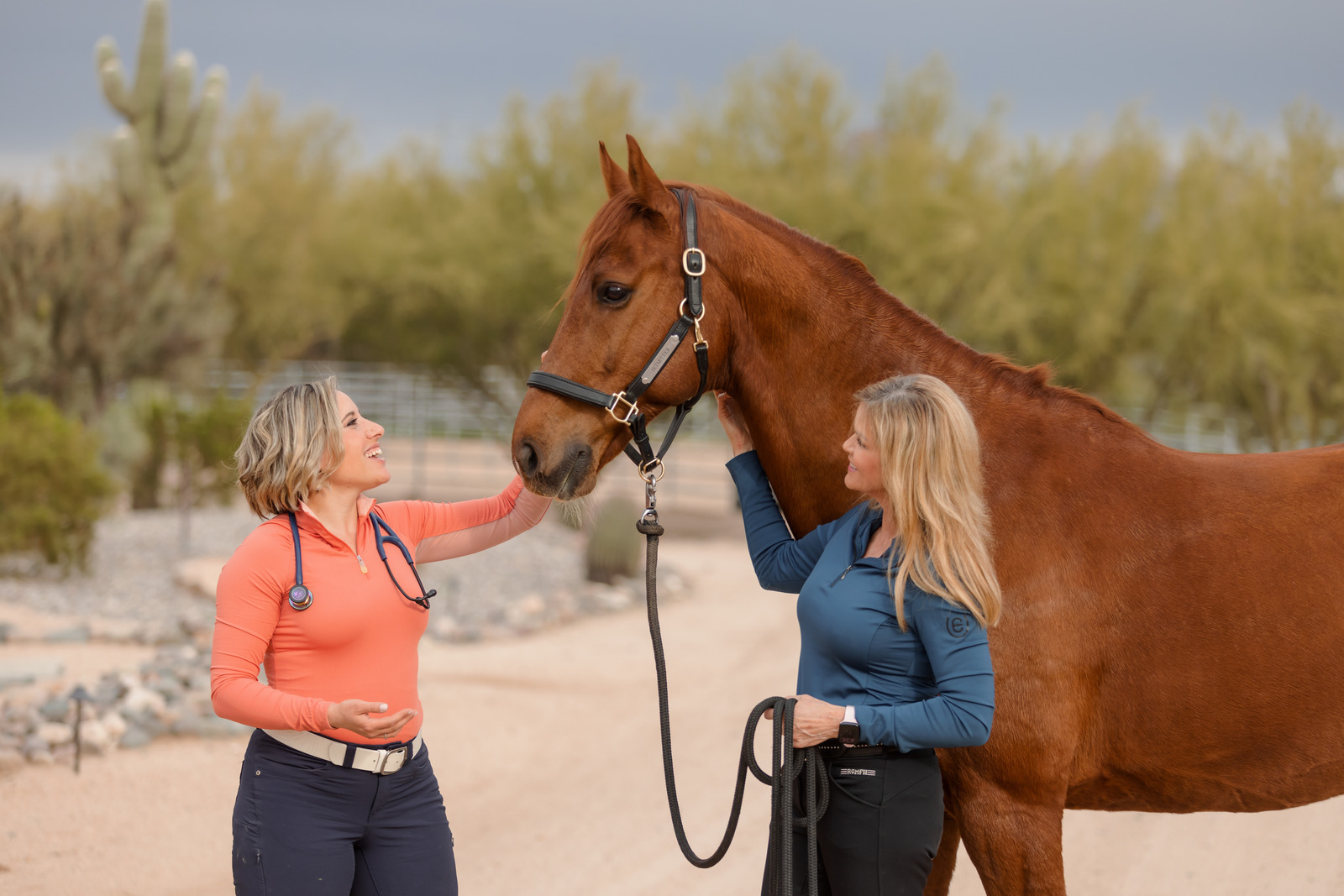 equine respiratory wellness horse with 2 ladies