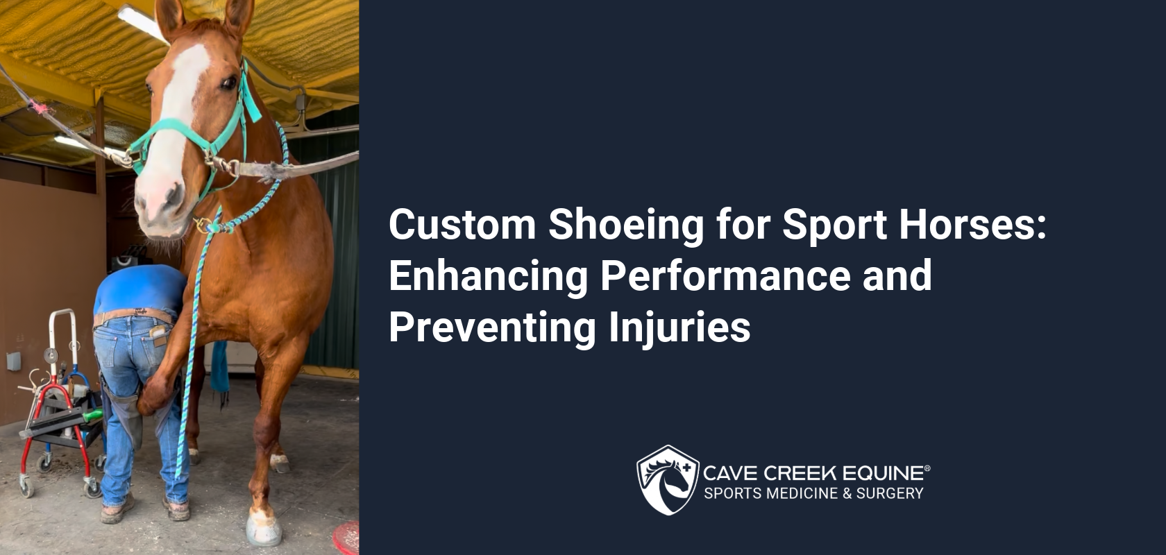 Custom Shoeing for Sport Horses