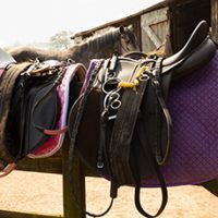 saddles bridles and other tack resting on gate after riding with horse standing in background